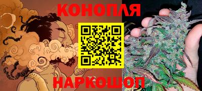 спиды Заводоуковск