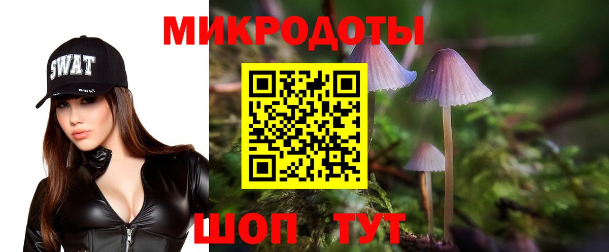 Галлюциногенные грибы мухоморы Миасс